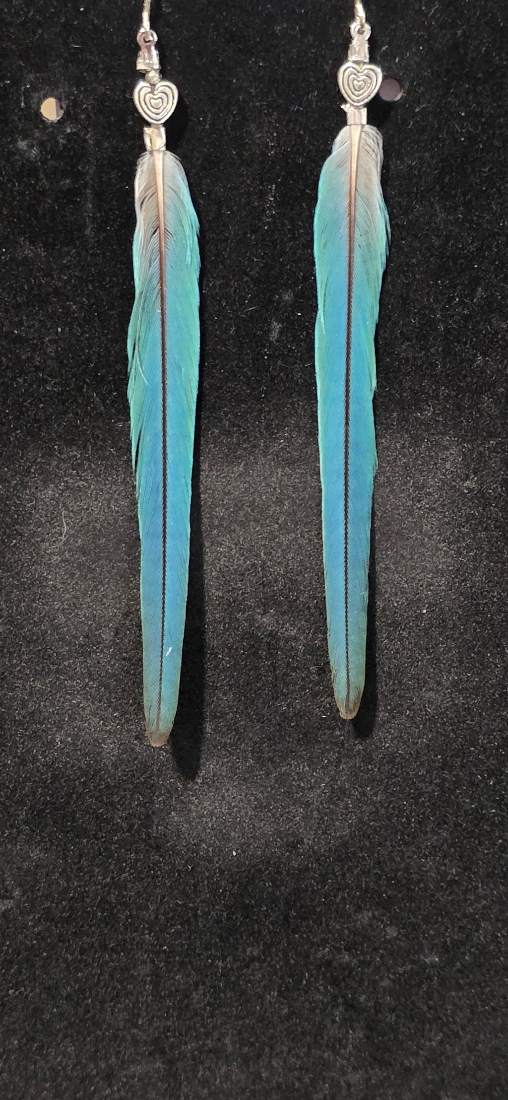 Blue single feather earrings